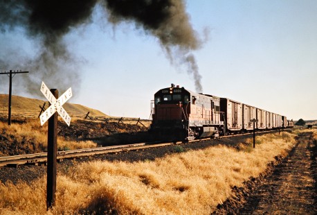 Eastbound Milwaukee Road local freight train in Marengo, Washington, on July 24, 1974. Photograph by John F. Bjorklund, © 2016, Center for Railroad Photography and Art. Bjorklund-64-14-05