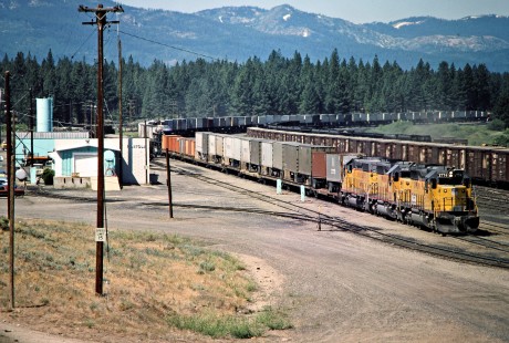 Eastbound Union Pacific Railroad freight train on the Western Pacific Railroad at Portola, California, on July 22, 1982. Photograph by John F. Bjorklund, © 2016, Center for Railroad Photography and Art. Bjorklund-93-08-01