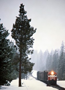 Eastbound McCloud River Railroad freight train at Bartle, California, on April 23, 1975. Photograph by John F. Bjorklund, © 2016, Center for Railroad Photography and Art. Bjorklund-93-12-09