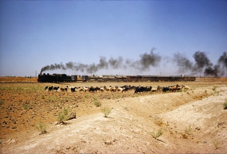 Syrian Railways steam locomotive passes a herd of stampeding goats in Al-Zabadani, Syria on July 21, 1991. Photograph by Fred M. Springer, © 2014, Center for Railroad Photography and Art.  Springer-Hedjaz-ZimZam(1)-10-03