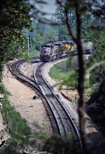 Southbound Louisville and Nashville Railroad coal train near Verona, Kentucky, on May 20, 1979. Photograph by John F. Bjorklund, © 2016, Center for Railroad Photography and Art. Bjorklund-71-08-19