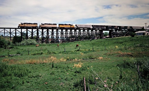 Westbound Camas Prairie Railroad freight train, owned and operated by Burlington Northern Railroad and Union Pacific Railroad, in Cottonwood, Idaho, on July 1, 1988. Photograph by John F. Bjorklund, © 2016, Center for Railroad Photography and Art. Bjorklund-93-19-07