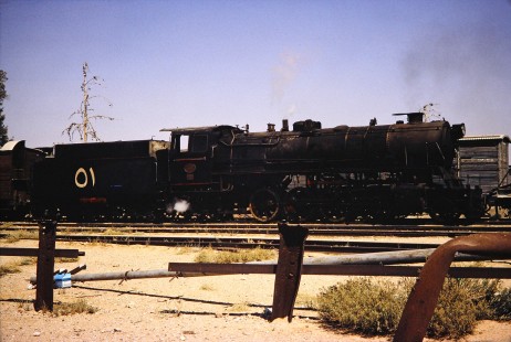 Hedjaz Jordan Railway and Syrian Railways 2-8-2 steam locomotive no. 51 in Petra, Ma'an, Jordan, on July 18, 1991. Photograph by Fred M. Springer, © 2014, Center for Railroad Photography and Art. Springer-Hedjaz-ZimZam(1)-06-24