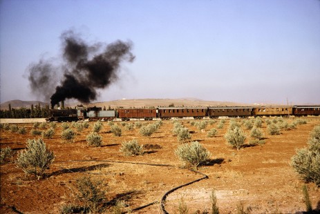 Syrian Railways steam locomotive no. 162 pulling 5 passenger cars in Daraa, Daraa, Syria on July 19, 1991. Photograph by Fred M. Springer, © 2014, Center for Railroad Photography and Art. Springer-Hedjaz-ZimZam(1)-08-03