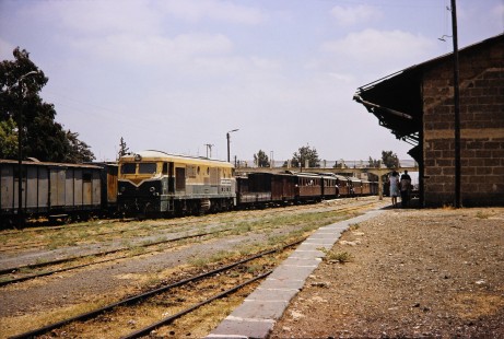 Syrian Railways locomotive no. 402 in Daraa, Daraa, Syria on July 19, 1991. Photograph by Fred M. Springer, © 2014, Center for Railroad Photography and Art. Springer-Hedjaz-ZimZam(1)-08-34