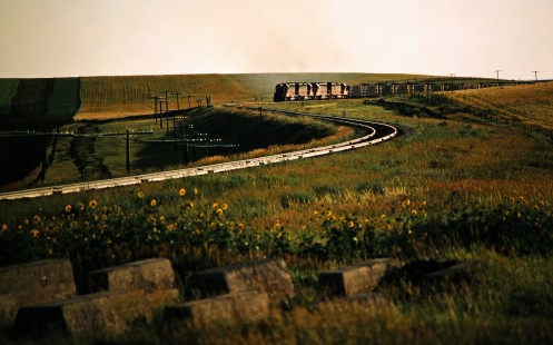 Eastbound Milwaukee Road coal train in Ives, North Dakota, on July 18, 1980. Photograph by John F. Bjorklund, © 2016, Center for Railroad Photography and Art. Bjorklund-68-26-17