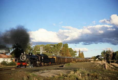 South African Railway 4-8-2 steam locomotive no. 2649 or "Anna" sits outside of Springfontein Station in Free State, Springfontein, South Africa, on March 30, 1995. Photograph by Fred M. Springer, © 2014, Center for Railroad Photography and Art. Springer-So.Africa-NOR-SWE-01-02