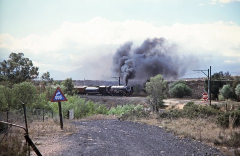 South African Railway 4-8-4 steam locomotive no. 3501 in Wolseley, Western Cape, South Africa, on March 19, 1995. Photograph by Fred M. Springer, © 2014, Center for Railroad Photography and Art. Springer-So.Africa(1)-09-01