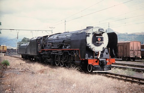 South African Railway 4-8-4 steam locomotive no. 3501 and its engineer stand stationary awaiting instructions in Josafat, Western Cape, South Africa, on March 19, 1995. Photograph by Fred M. Springer, © 2014, Center for Railroad Photography and Art. Springer-So.Africa(1)-09-06