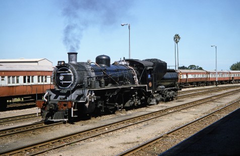South African Railway steam locomotive stands next to a row of passenger cars in George, Western Cape, South Africa, on March 22, 1995. Photograph by Fred M. Springer, © 2014, Center for Railroad Photography and Art. Springer-So.Africa(1)-15-35