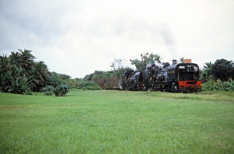 South African Railways "Banana Express" steam locomotive no. 156 and Alfred County Railway no. 155 carry empty cars across wide country scape in Port Shepstone, Eastern Cape, South Africa, on March 28, 1995. Photograph by Fred M. Springer, © 2014, Center for Railroad Photography and Art. Springer-So.Africa(1)-23-28