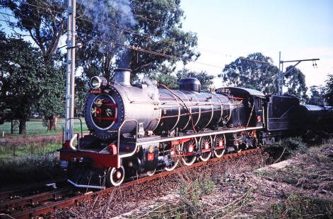 South African Railway 4-8-2 steam locomotive no. 1963 or "Winsome" moves along a overgrown track in Rosetta, KwaZulu-Natal, South Africa, on March 27, 1995. Photograph by Fred M. Springer, © 2014, Center for Railroad Photography and Art. Springer-So.Africa(1)-22-37