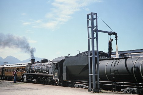South African Railway steam locomotive no. 2433 receives water at a stop in George, Western Cape, South Africa, on March 22, 1995. Photograph by Fred M. Springer, © 2014, Center for Railroad Photography and Art. Springer-So.Africa(1)-14-01