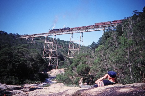 A rail photographer goes to great lengths to capture the image of South African Railway steam locomotives nos. 1007 and 1056 crossing the Malgaaten Bridge in Western Cape, South Africa, on March 21, 1995. Photograph by Fred M. Springer, © 2014, Center for Railroad Photography and Art. Springer-So.Africa(1)-13-23
