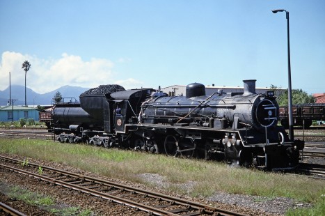 South African Railway steam locomotive filled with coal in George, Western Cape, South Africa, on March 21, 1995. Photograph by Fred M. Springer, © 2014, Center for Railroad Photography and Art. Springer-So.Africa(1)-14-40