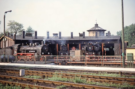 Wolsztyn Roundhouse holds several Polskie Koleje Państwowe (Polish State Railways) steam locomotives; left to right visible nos. Ok1-359, OI49-7, 148, and OU49-59. Taken in Wolsztyn, Greater Poland, Poland, May 20, 1993. Photograph by Fred M. Springer, © 2014, Center for Railroad Photography and Art. Springer-Europe-01-19