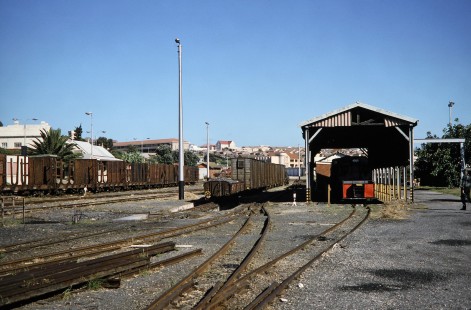 Avontuur Railway's narrow gauge yards in Port Elizabeth, Eastern Cape, South Africa, on March 25, 1995. Photograph by Fred M. Springer, © 2014, Center for Railroad Photography and Art. Springer-So.Africa(1)-18-15