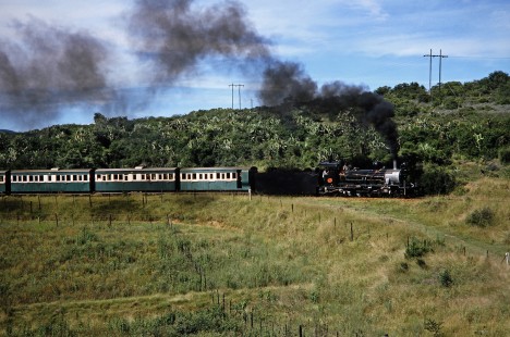 Avontuur Railway steam locomotive no. 145 passes next to fenced grass pastures in Loerie, Eastern Cape, South Africa, on March 1995. Photograph by Fred M. Springer, © 2014, Center for Railroad Photography and Art. Springer-So.Africa(1)-20-31