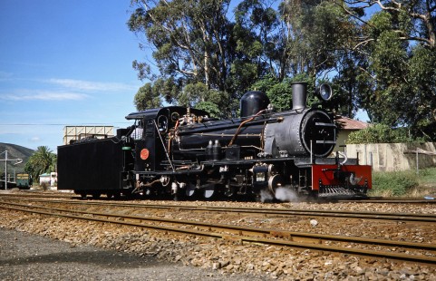 Avontuur Railway steam locomotive no. 145 in Loerie, Eastern Cape, South Africa, on March 25, 1995. Photograph by Fred M. Springer, © 2014, Center for Railroad Photography and Art. Springer-So.Africa(1)-20-37