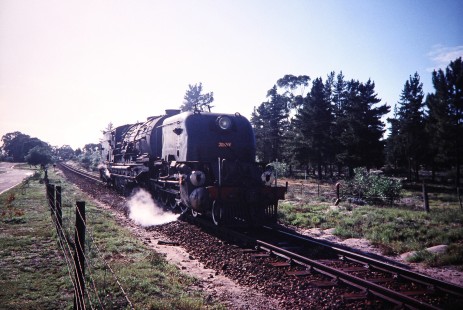 South African Railway 4-8-2+2-8-4 Garratt steam locomotive no. 4122 or "Jenny" moves along the country track in Albertinia, Western Cape, South Africa, on March 20, 1995. Photograph by Fred M. Springer, © 2014, Center for Railroad Photography and Art. Springer-So.Africa(1)-10-02