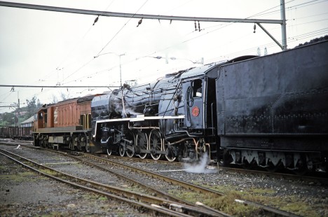 South African Railway steam locomotive no. 3149 and a diesel at Hilton, KwaZulu-Natal, South Africa, on March 27, 1995. Photograph by Fred M. Springer, © 2014, Center for Railroad Photography and Art. Springer-So.Africa(1)-22-25