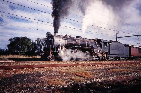 South African Railway 4-6-2 steam locomotive no. 876 travels in Kroonstad, Free State, South Africa, on March 30, 1995. Photograph by Fred M. Springer, © 2014, Center for Railroad Photography and Art. Springer-So.Africa(1)-24-04
