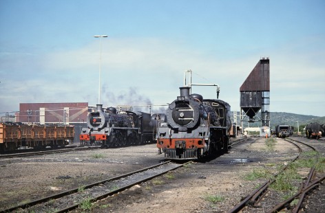South African Railway steam locomotives in Voorbaai, Western Cape, South Africa, on March 20, 1995. Photograph by Fred M. Springer, © 2014, Center for Railroad Photography and Art. Springer-So.Africa(1)-12-38