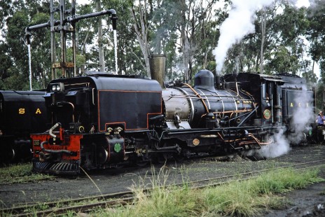 South African Railways "Banana Express" steam locomotive no. 156 (background) and Alfred County Railway no. 155 take on water in Izotsha, Eastern Cape, South Africa, on March 28, 1995. Photograph by Fred M. Springer, © 2014, Center for Railroad Photography and Art. Springer-So.Africa(1)-23-22