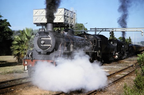 South African Railway steam locomotives nos. 2683 and 4122 pass a water station in Great Brak River, Western Cape, South Africa, on March 22, 1995. Photograph by Fred M. Springer, © 2014, Center for Railroad Photography and Art. Springer-So.Africa(1)-14-17