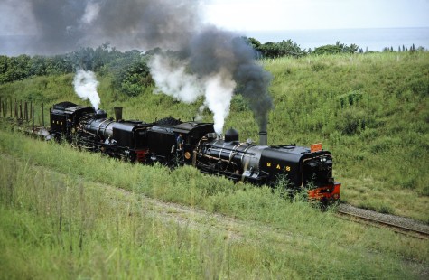 South African Railways "Banana Express" steam locomotive no. 156 and Alfred County Railway no. 155 move down the track in Shepstone, Eastern Cape, South Africa, ACR on March 28, 1995. Photograph by Fred M. Springer, © 2014, Center for Railroad Photography and Art. Springer-So.Africa(1)-23-24