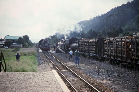 South African Railway steam locomotive no. 3606 passes a freight train with loaded log cars in Sedgefield, Western Cape, South Africa, on March 22, 1995. Photograph by Fred M. Springer, © 2014, Center for Railroad Photography and Art. Springer-So.Africa(1)-15-16