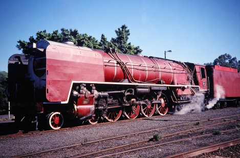 South African Railway 4-8-4 steam locomotive no. 3417 in Dal Josafat, Western Cape, South Africa, on April 2, 1995. Photograph by Fred M. Springer, © 2014, Center for Railroad Photography and Art. Springer-So.Africa-NOR-SWE-06-13