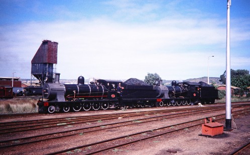 South African Railway 4-8-0 steam locomotives no. 1007 and no. 1056 move into a train yard in Voorbaai, Western Cape, South Africa, on March 20, 1995. Photograph by Fred M. Springer, © 2014, Center for Railroad Photography and Art. Springer-So.Africa(1)-12-27