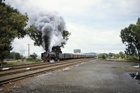 South African Railway 4-8-4 steam locomotive no. 3410 or "Paula" travels down the track at full steam in Sannaspos, Eastern Cape, South Africa, on March 26, 1995. Photograph by Fred M. Springer, © 2014, Center for Railroad Photography and Art. Springer-So.Africa(1)-20-06