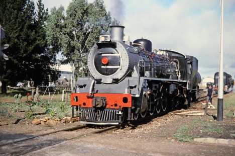 South African Railway steam locomotives no. 2683 at Albertinia, Western Cape, South Africa, on March 20, 1995. Photograph by Fred M. Springer, © 2014, Center for Railroad Photography and Art. Springer-So.Africa(1)-11-32