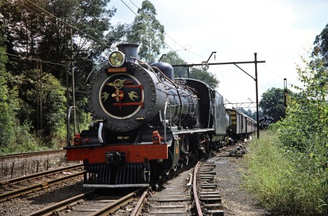 South African Railway 4-8-2 steam locomotive no. 1963 or "Winsome" in Hilton, KwaZulu-Natal, South Africa, on March 27, 1995. Photograph by Fred M. Springer, © 2014, Center for Railroad Photography and Art. Springer-So.Africa(1)-22-27