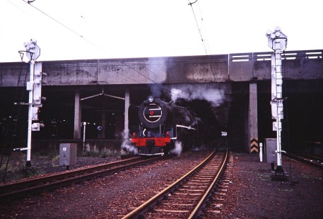 South African Railway steam locomotive no. 3149 exits from under the station in Durban, KwaZulu-Natal, South Africa on March 28, 1995. Photograph by Fred M. Springer, © 2014, Center for Railroad Photography and Art. Springer-So.Africa(1)-23-39