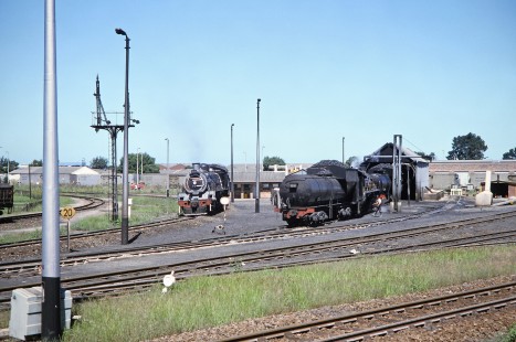 South African Railway steam locomotives at the yard in George, Western Cape, South Africa, on March 21, 1995. Photograph by Fred M. Springer, © 2014, Center for Railroad Photography and Art. Springer-So.Africa(1)-13-02