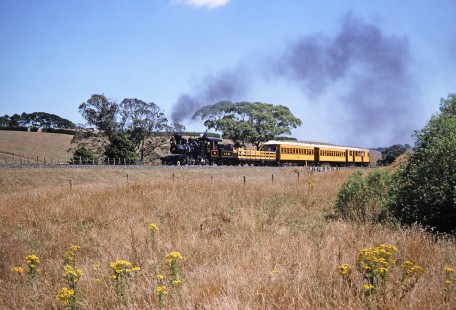 Glenbrook Vintage Railway steam locomotive no. 4 traveling near Glenbrook, New Zealand, on January 29, 1994. Photograph by Fred M. Springer, © 2014, Center for Railroad Photography and Art. Springer-NZ-UK-01-03