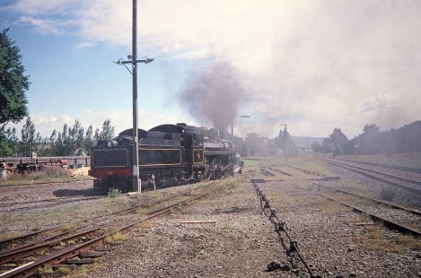 Weka Pass Express Railway steam locomotive no. 428 moves among many joining tracks in a yard in Christchurch, Canterbury, New Zealand, on January 2, 2006. Photograph by Fred M. Springer, © 2014, Center for Railroad Photography and Art. Springer-Alaska-NZ-15-31