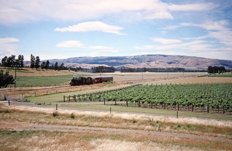 Weka Pass Express Railway steam locomotive no. 428 passes a farm field in Christchurch, Canterbury, New Zealand, on January 2, 2006. Photograph by Fred M. Springer, © 2014, Center for Railroad Photography and Art. Springer-Alaska-NZ-15-27