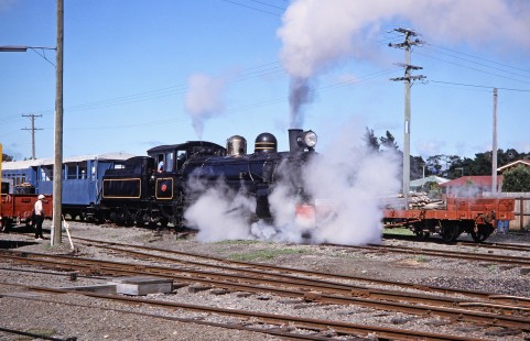 Weka Pass Express Railway steam locomotive no. 428 engulfed by a puff of steam in Waipara, North Canterbury, New Zealand, on January 16, 1994. Photograph by Fred M. Springer, © 2014, Center for Railroad Photography and Art. Springer-NZ(1)-10-07