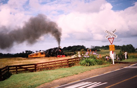 Steam locomotive no. 1250 with passenger train at a crossing near Glenbrook, Auckland/Franklin, New Zealand, on January 4, 2004. Photograph by Fred M. Springer, © 2014, Center for Railroad Photography and Art. Springer-Canada-NZ(1)-22-07