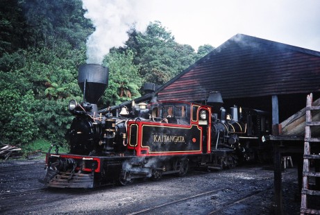 Shantytown and Kaitangata Tramway steam locomotive in Greymouth, West Coast, New Zealand, on January 17, 1996. Photograph by Fred M. Springer, © 2014, Center for Railroad Photography and Art. Springer-NZ(2)-16-26