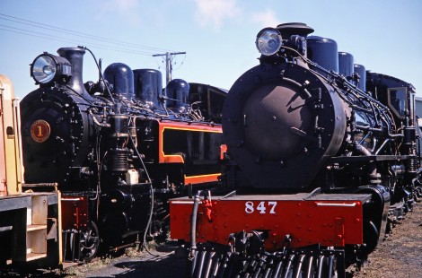 Glenbrook Vintage Railway steam locomotives nos. 847 and 1 in Glenbrook, New Zealand, on January 29, 1994. Photograph by Fred M. Springer, © 2014, Center for Railroad Photography and Art. Springer-NZ-UK-02-17