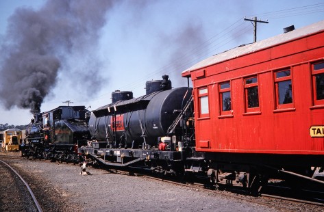 Glenbrook Vintage Railway steam locomotive no. 847 moves forward on the Pukeoware yard track with cars following behind in Glenbrook, New Zealand, on January 29, 1994. Photograph by Fred M. Springer, © 2014, Center for Railroad Photography and Art. Springer-NZ-UK-02-26