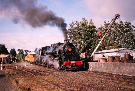 Steam locomotive no. 1250 in Glenbrook, Auckland/Franklin, New Zealand, on January 4, 2004. Photograph by Fred M. Springer, © 2014, Center for Railroad Photography and Art. Springer-Canada-NZ(1)-22-15
