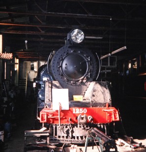 Glenbrook Vintage Railway 4-8-4 steam locomotive no. 1250 inside the enginehouse at Pukeoware, Franklin District, New Zealand, on January 29, 1994. Photograph by Fred M. Springer, © 2014, Center for Railroad Photography and Art. Springer-NZ(1)-24-26
