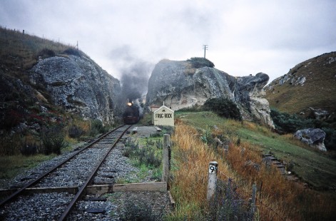Weka Pass Express Railway steam locomotive at Frog Rock station in Waipara, Canterbury, New Zealand, on January 15, 1996. Photograph by Fred M. Springer, © 2014, Center for Railroad Photography and Art. Springer-NZ(2)-15-20