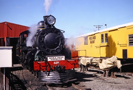 Weka Pass Express Railway steam locomotive no. 428 leaves the shed in Waipara, North Canterbury, New Zealand, on January 16, 1994. Photograph by Fred M. Springer, © 2014, Center for Railroad Photography and Art. Springer-NZ(1)-10-20